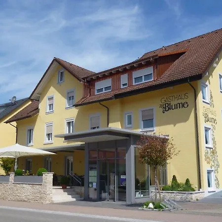 Mini-hôtel Blume Hausach
